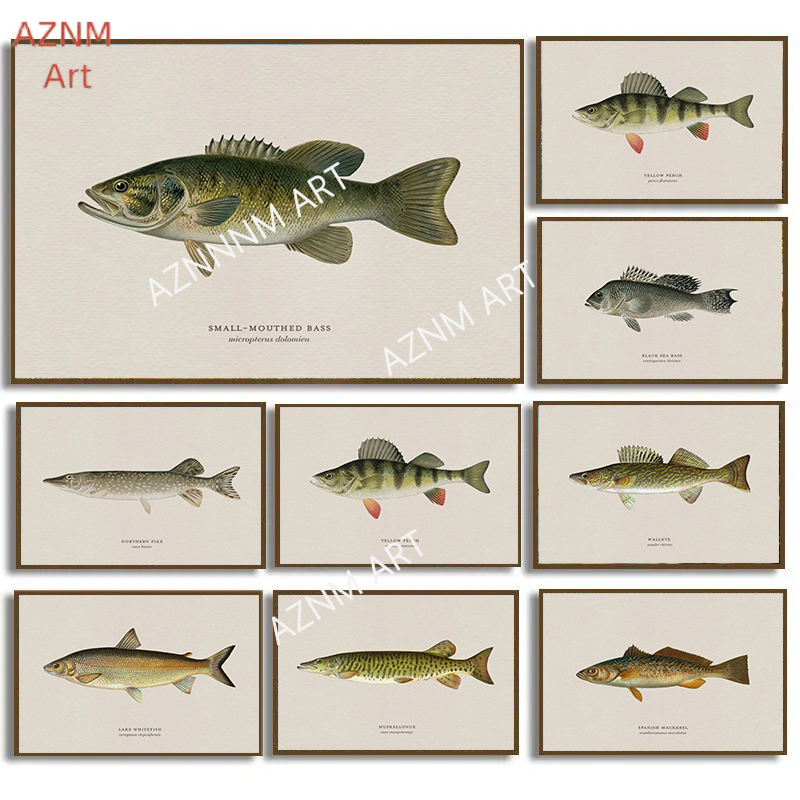 Retro Gaming Pictures - Vintage Bass Fish Forel Vliegvissen Posters