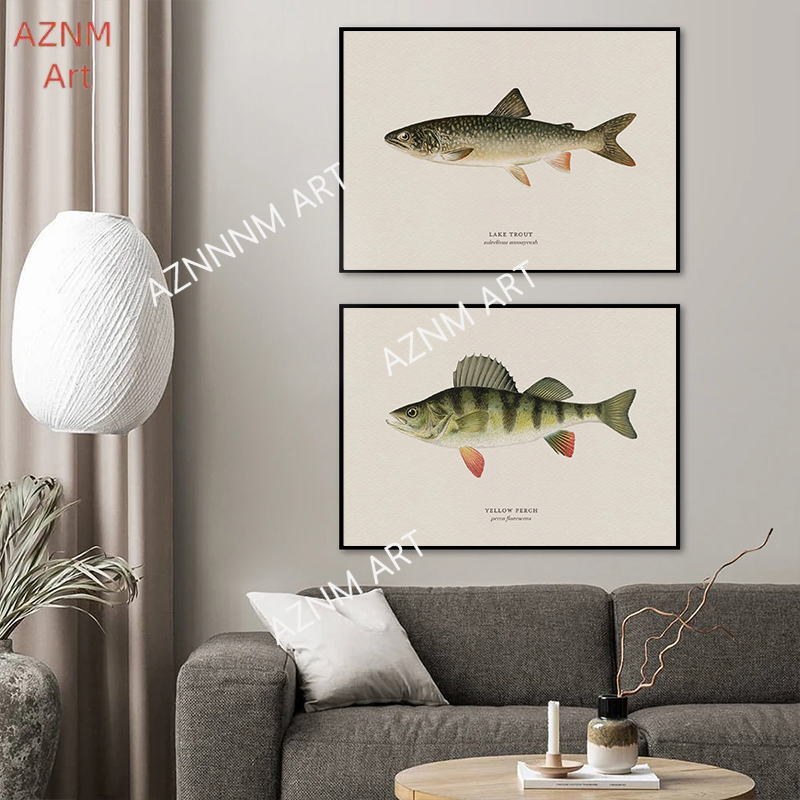 Vintage Bass Fish Forel Vliegv - Retro Gaming Pictures recensie en prijs