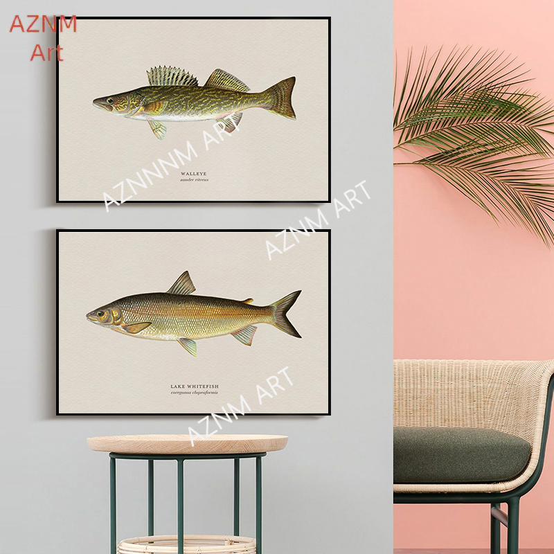 Vintage Bass Fish Forel Vliegv - Retro Gaming Pictures recensie en prijs